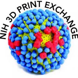 NIH 3D Print Exchange
