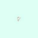 l_carpal_distal_phalanx_1