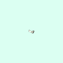 l_carpal_distal_phalanx_4