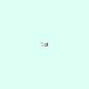 l_carpal_distal_phalanx_5