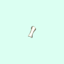 l_carpal_proximal_phalanx_1
