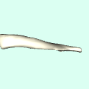 l_clavicle