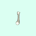 l_metacarpal_2