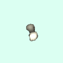 l_metatarsal_1