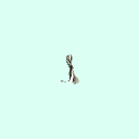 l_palatine