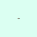 l_tarsal_distal_phalanx_2