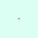 l_tarsal_middle_phalanx_4