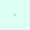 l_tarsal_middle_phalanx_5