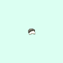 l_tarsal_proximal_phalanx_1