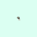 l_tarsal_proximal_phalanx_2