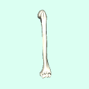l_upperarm