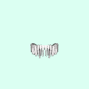 lowerTeeth