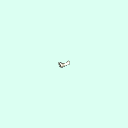 r_carpal_distal_phalanx_4