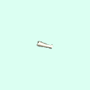 r_carpal_middle_phalanx_3