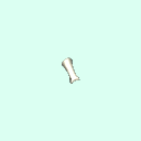r_carpal_proximal_phalanx_1
