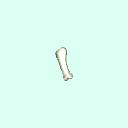 r_carpal_proximal_phalanx_2