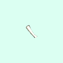 r_carpal_proximal_phalanx_5