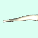 r_clavicle