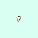 r_cuneiform_1