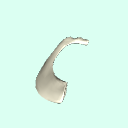 r_rib1