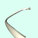r_rib4