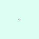 r_tarsal_distal_phalanx_4