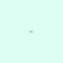 r_tarsal_distal_phalanx_5