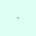 r_tarsal_middle_phalanx_5