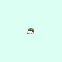 r_tarsal_proximal_phalanx_1