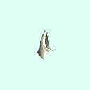 r_zygomatic
