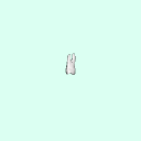tooth_molar_3_16