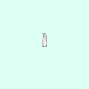 tooth_premolar_12_24