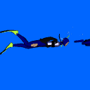NancyDiving