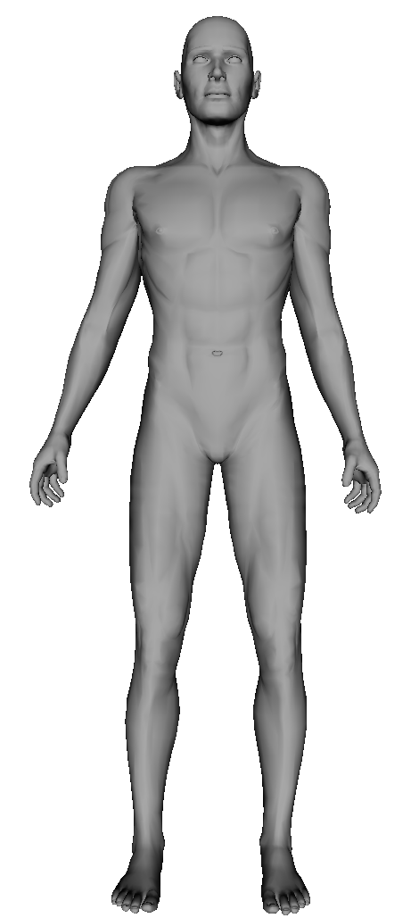 Body Skin IndexedFaceSet (IFS) by NIST