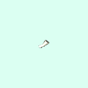 l_carpal_middle_phalanx_5
