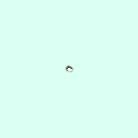 l_tarsal_middle_phalanx_3