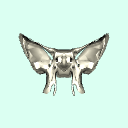 sphenoid