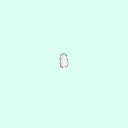 tooth_molar_16_28
