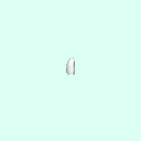 tooth_premolar_13_25