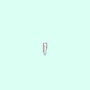 tooth_premolar_20_35