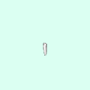 tooth_premolar_28_44