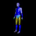 BodySkinIndexedFaceSetNISTcolors