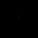 TulipPurple1