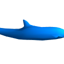 DolphinPose02