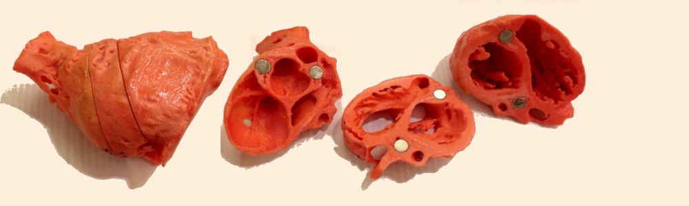 #htmlcaption-0 3D Printed Heart